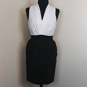 H&M Blue & White Sleeveless V-Cut Pencil Sheath Dress